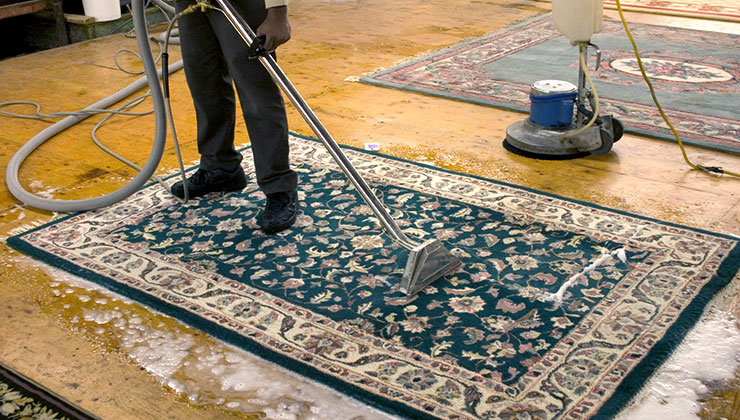 Carpet, Upholstery & Rug Cleaners